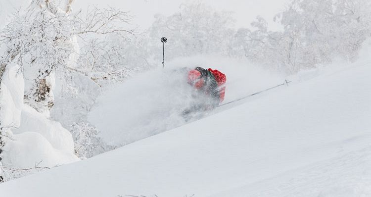 Skiing through the trees for face shots. Photo: Kiroro Skiing through the trees for face shots. Photo: Kiroro - image 0